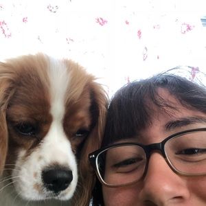 Meet your Posher, Dafna